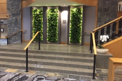 Westin Whistler 3